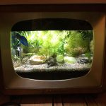 Seltsam & Söhne - Die Wunderwerkstatt für Unikate und Wagenbau