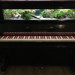 Seltsam & Söhne - Die Wunderwerkstatt für Unikate und Wagenbau