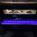 Seltsam & Söhne - Die Wunderwerkstatt für Unikate und Wagenbau